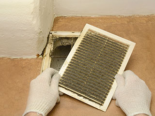 Air Duct Cleaning and Dust Mites | Air Duct Cleaning Berkeley CA Air Duct Cleaning and Dust Mites - Berkeley CA
