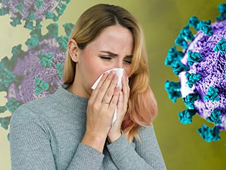 The 3 Most Common Air Duct Contaminants | Air Duct Cleaning Berkeley CA The 3 Most Common Air Duct Contaminants | Berkeley CA